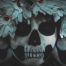 Vida y muerte