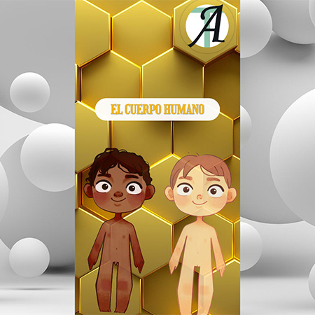 EL CUERPO HUMANO